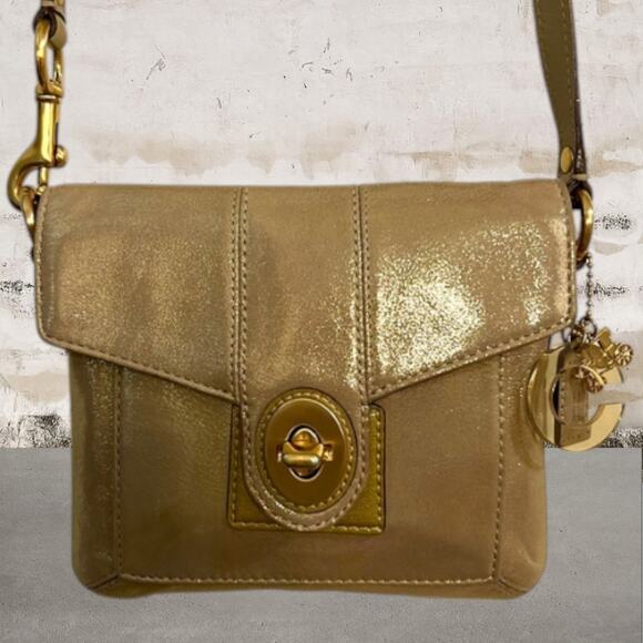 Coach Peyton Textured Metallic Crossbody 43471 - Picture 3 of 9